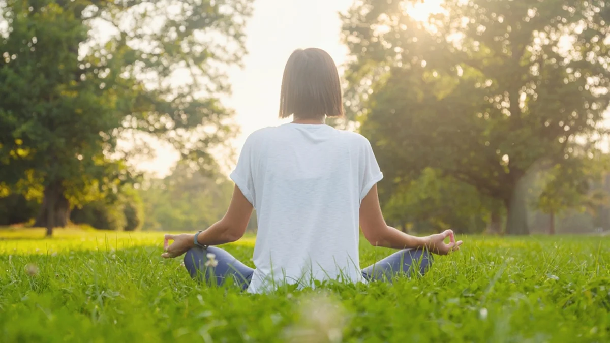 Engaging in mindfulness meditation, journaling, or outdoor walks can be decisive steps toward mental health recovery.