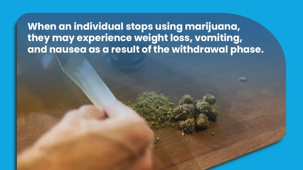 When an individual stops using marijuana, they may experience weight loss, vomiting, and nausea as a result of the withdrawal phase.